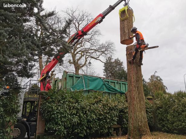 Grappin forestier LASCO 1m20 HARDOX fixe ou pendulaire