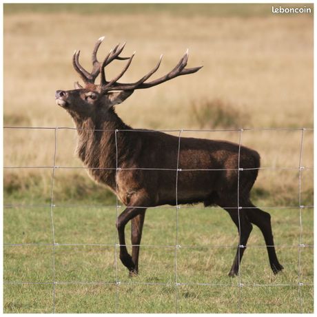 Grillage à mouton de 1m à 2m de hauteur Mont de Marsan