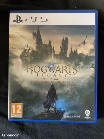 Hogwarts Legacy Ps5