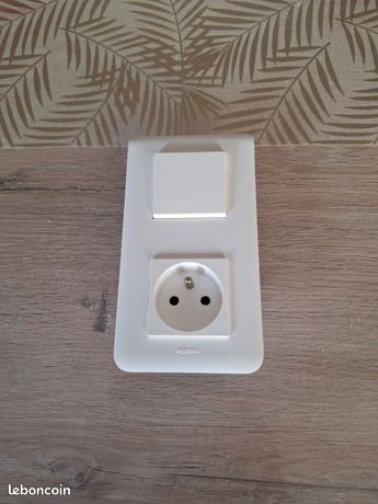 Interrupteur +prise legrand mosaïc