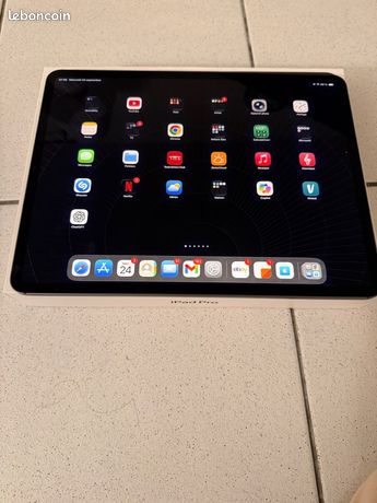 Ipad Pro 12.9 5ieme génération 256 Go WiFi Cellular