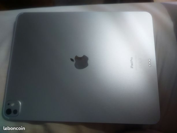 IPad Pro 13-inch M4 Wi-Fi 256 GB SILVER-BNL 14/11/2024