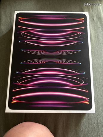 IPad Pro 12,9 6e génération