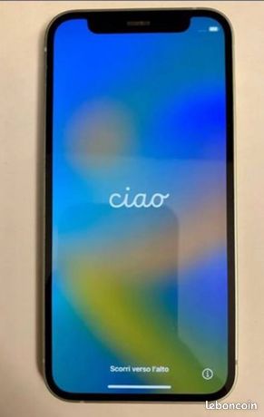 Iphone 12 mini et iphone 11 pro max-batterie au