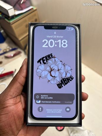 IPhone 12 Pro 256go