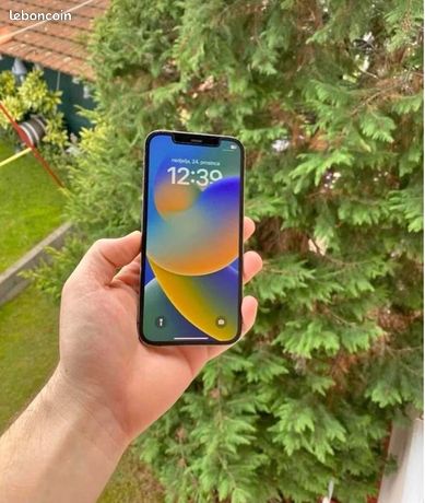 IPhone 12 Pro Max dorigine