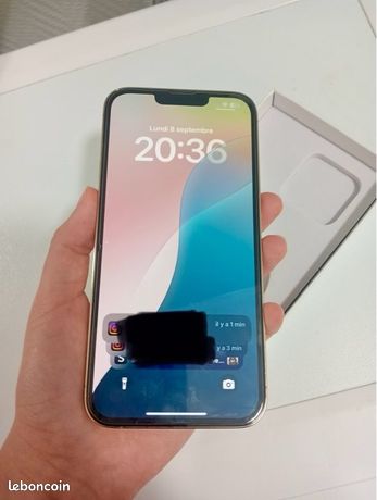 Iphone 13 pro max