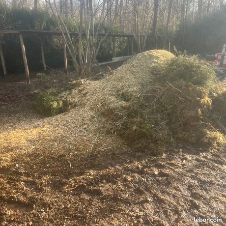 Jardinage & Coupe dArbres