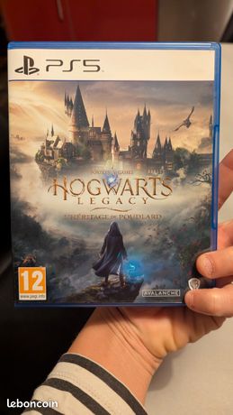 Jeux vidéo Hogwarts legacy
