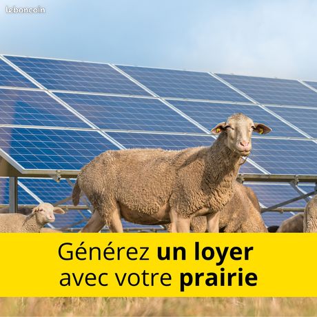 Jusqu’à 5 000e / ha / an avec vos terres agricoles – Agrivoltaïsme dans l'Allier