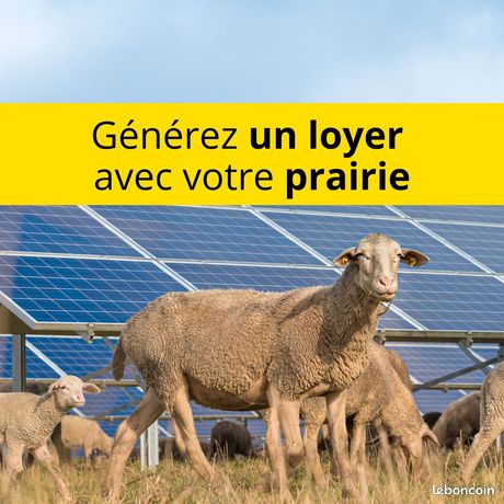 Jusqu’à 5 000e / ha / an avec vos terres agricoles – Agrivoltaïsme dans la Sarthe