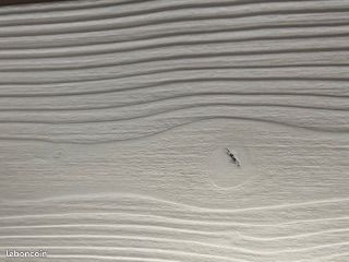 LAMBRIS NATUREL ou PEINT Couleur BLANC USINE à partir de 3,60 TTC 2ème choix (B/C), DéCLASSé. Lambris bois prix . Habillage intérieur Bois. Sous-toiture bois. Cache moineaux bois