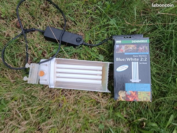 Lampe récifal Dennerle deuxième ampoule
