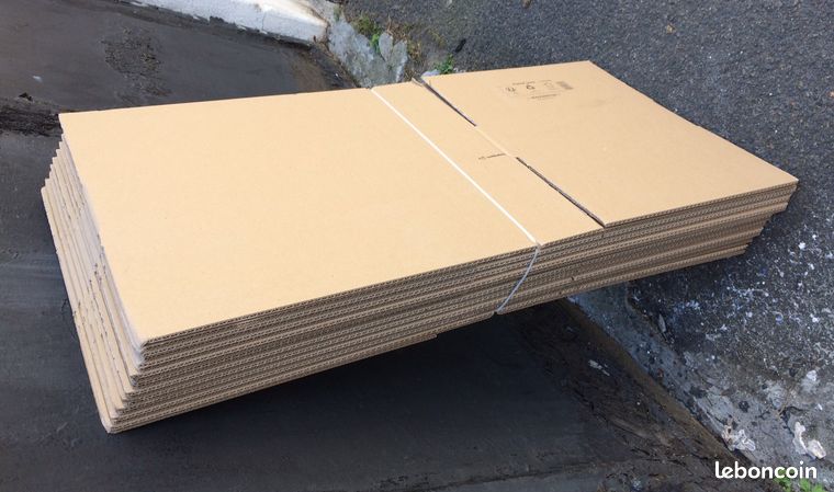 10 carton demballage 60x40x10