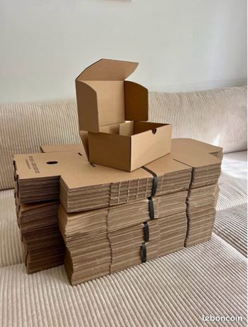 Boites/Cartons 25x15x10cm