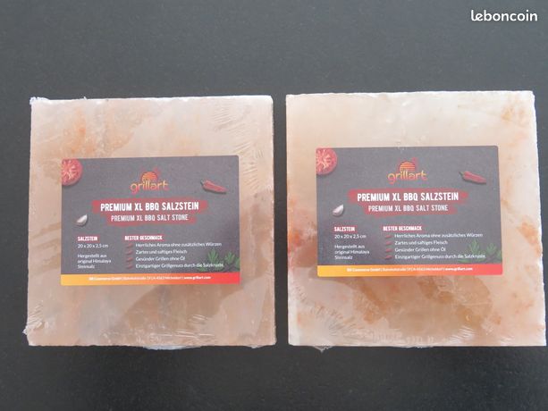 Lot de 2 pierres de sel XL pour cuisson barbecue neuf