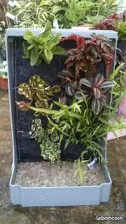 Lot de 20O supports mural pour plantation