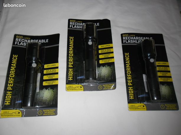 3 lampes Torche rechargeables
