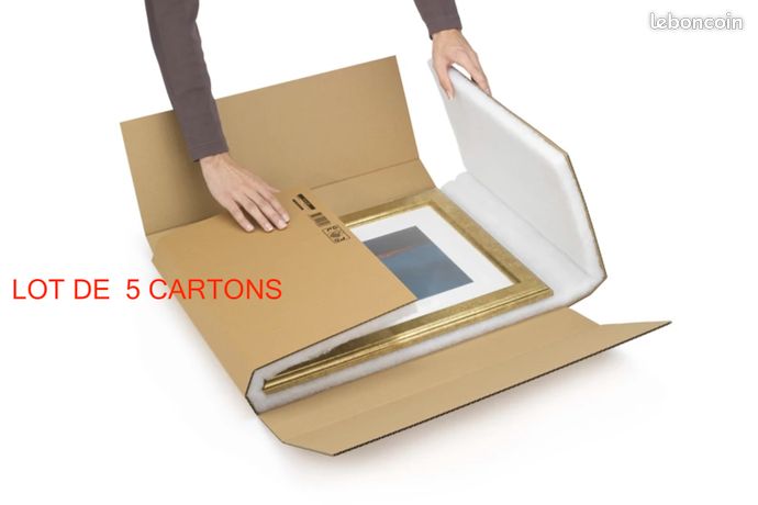 5 cartons RAJA avec mousse emballage écran ordinateur