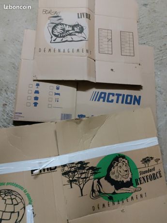 cartons de déménagement +100 toutes tailles
