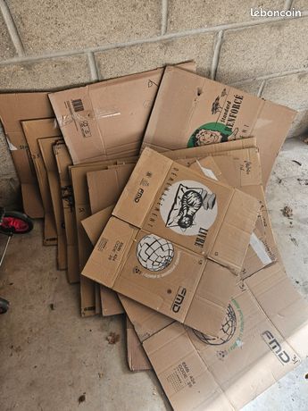 Lot de Cartons