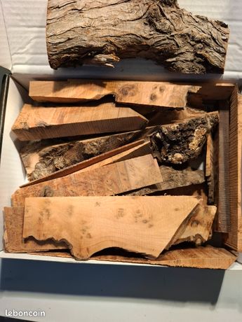 petite chute de loupe de cade