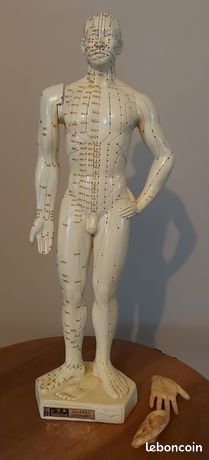 Mannequin homme acupuncture