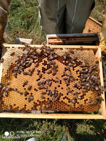 Matériel apiculture