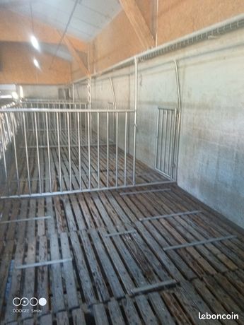 Matériel veaux gras