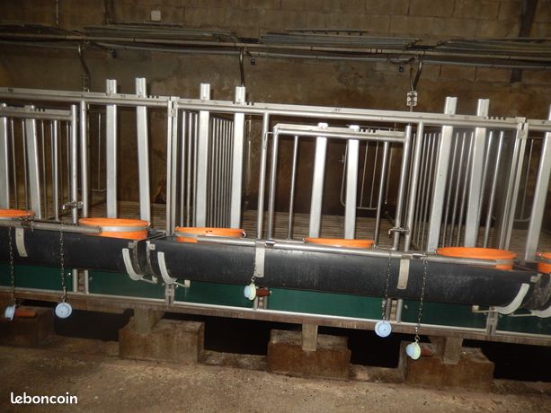 Matériels pour veaux de boucherie