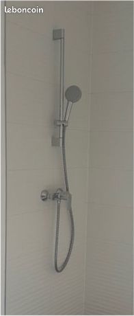 Mitigeur et pommeau de douche