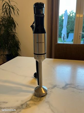 Mixer plongeant 1000W