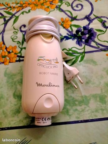 Mixeur plongeur Moulinex