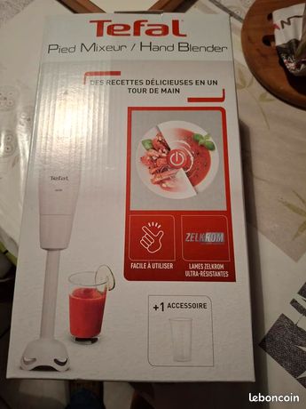 Mixeur plongeant tefal