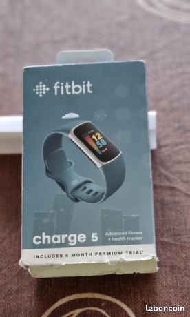 Montre bracelet Fitbit charge 5