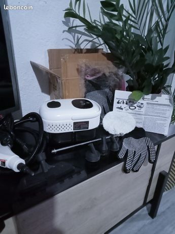 Nettoyeur vapeur