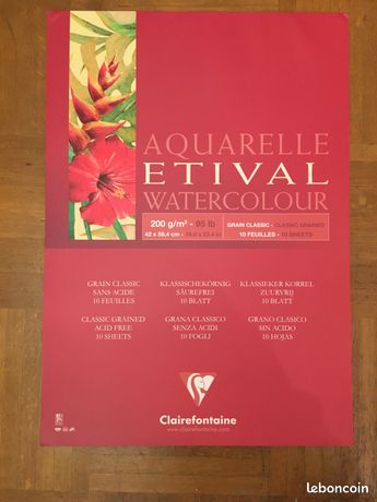 Papier dessin Etival bloc 9 pages