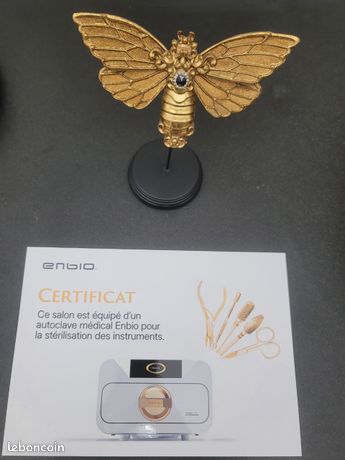 NEUF Stérilisateur MEDICAL professionnel CLASSE B tue virus germes bactéries