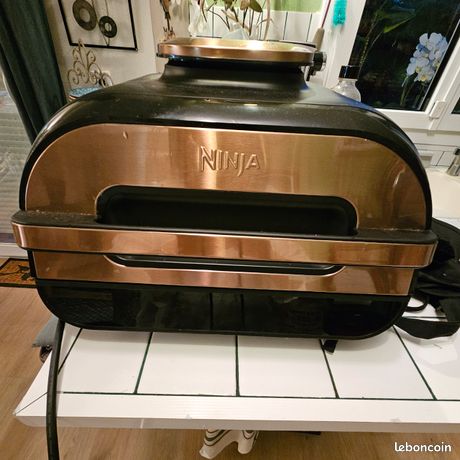 Ninja Foodi MAX Grill et Air Fryer