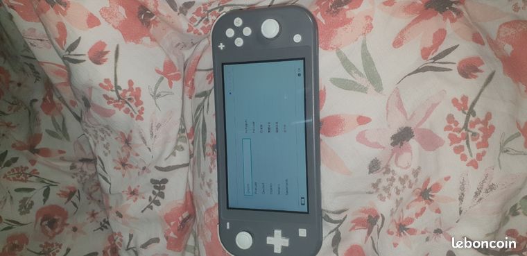 Nintendo Switch Lite grise + carte sd