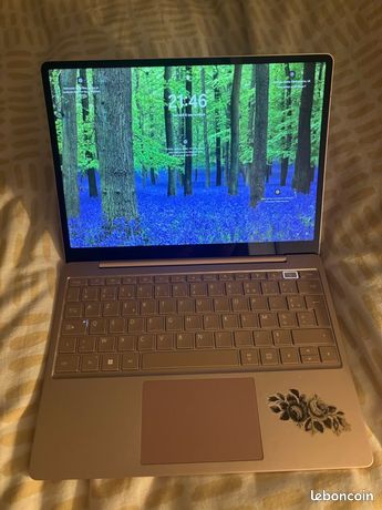 Ordinateur Laptop Go 2