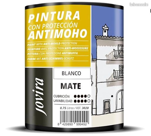 Peinture anti-moisissures