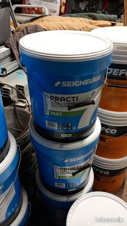 Peinture seigneurie blanche practi mat