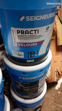 Peinture seigneurie blanche practi velours