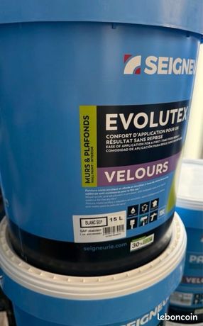 Peinture seigneurie evolutex