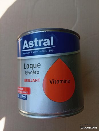 Peinture orange glycéro brillant pot 1/2L ex in pour 7M carre