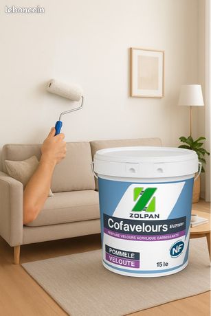 Peinture professionnelle
