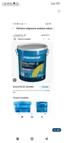 Peinture seigneurie evolutex velours 15 litres