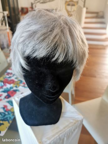 Perruque homme ou femme neuve