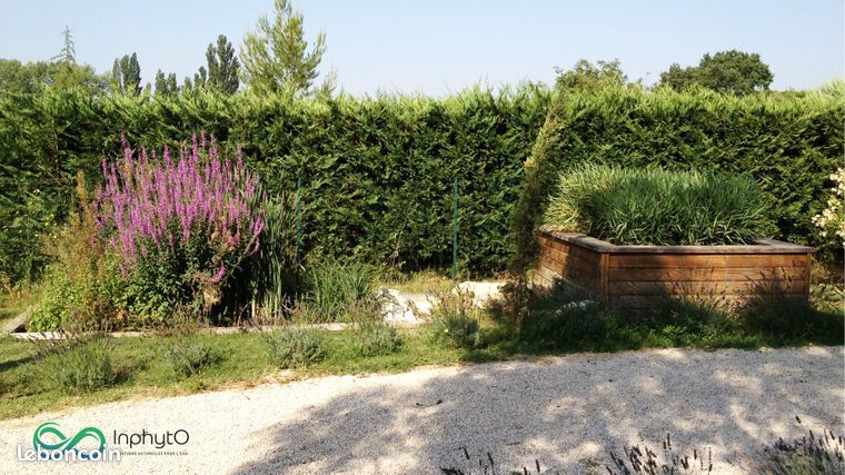 Phytoépuration Inphyto de 3 à 18EH